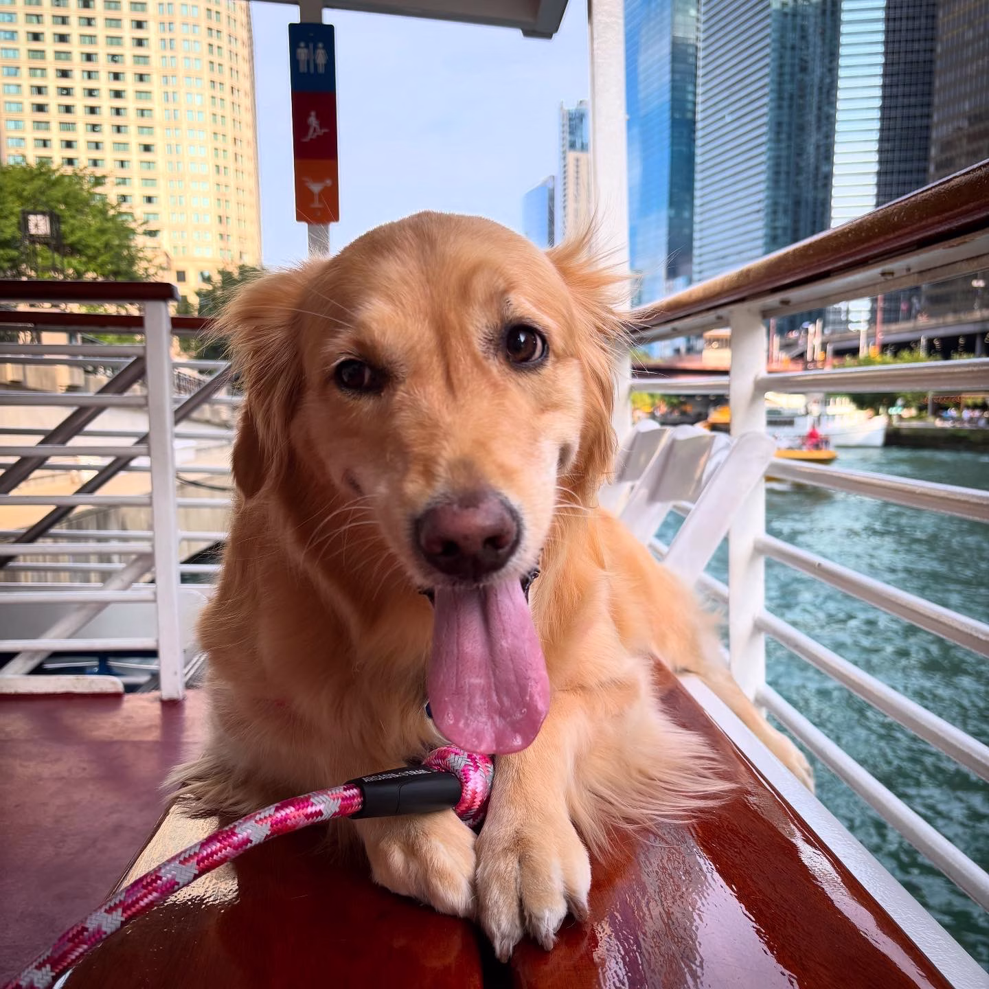 Luna on the Shoreline boat