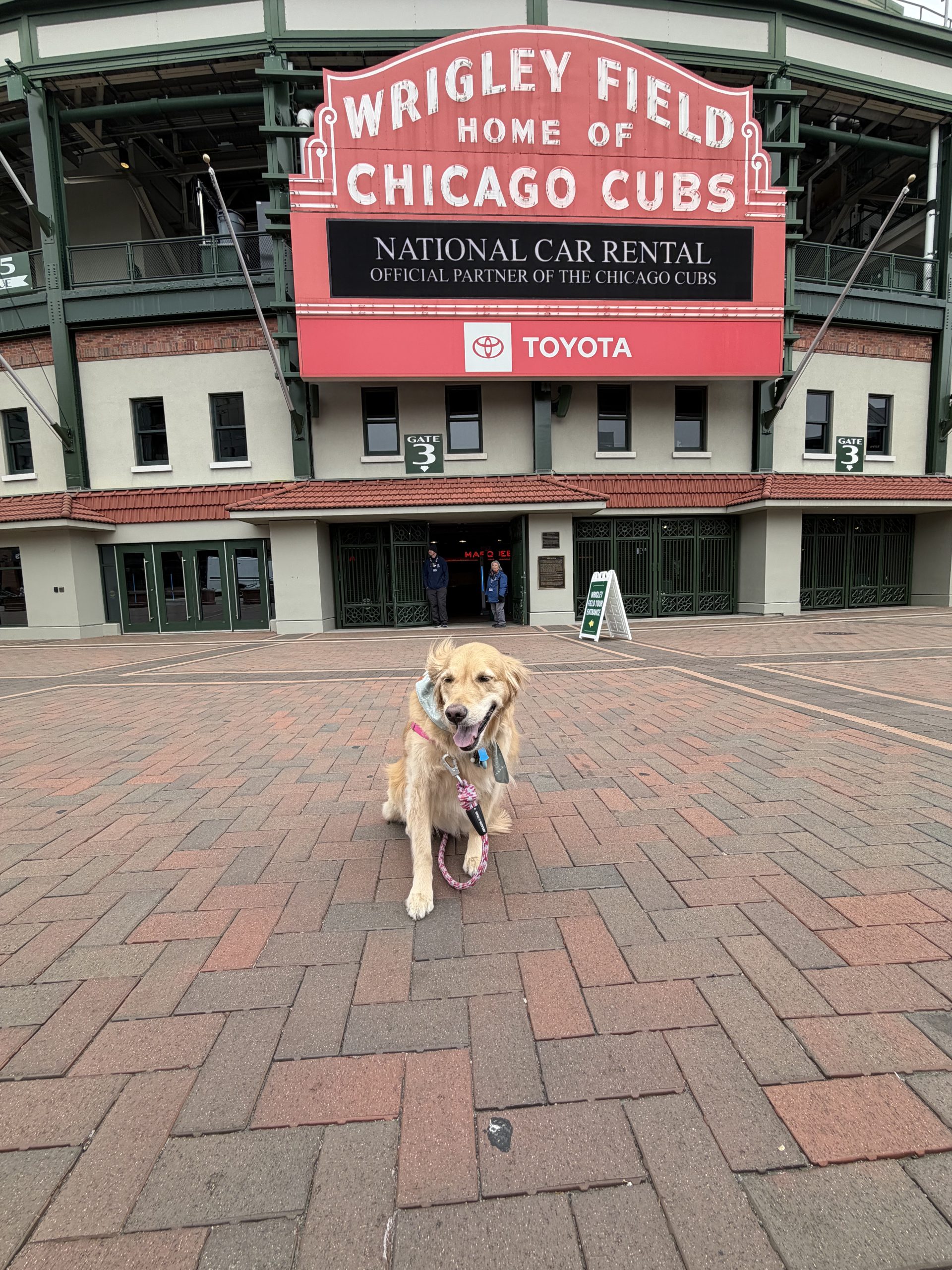 A Dog-Friendly Chicago Weekend: Bookstores, Wrigley & Way Too Much Cake